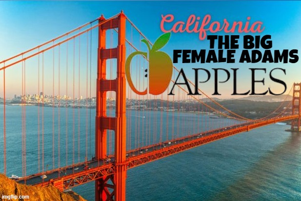 California's Big Apples | THE BIG; FEMALE ADAMS | image tagged in california,transgender,trans,san francisco,liberals,liberal | made w/ Imgflip meme maker