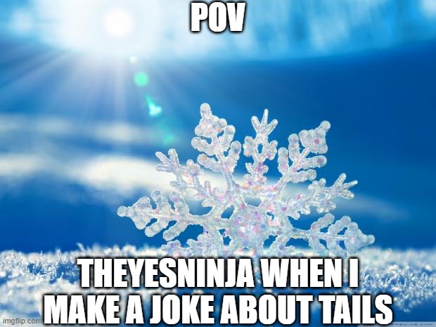 snowflake | POV; THEYESNINJA WHEN I MAKE A JOKE ABOUT TAILS | image tagged in snowflake | made w/ Imgflip meme maker