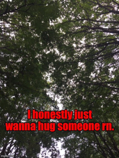 I honestly just wanna hug someone rn. | made w/ Imgflip meme maker