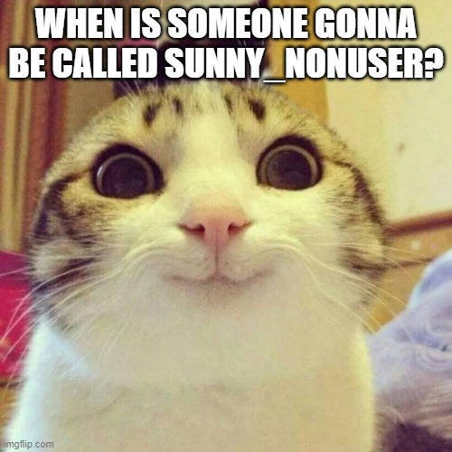Smiling Cat | WHEN IS SOMEONE GONNA BE CALLED SUNNY_NONUSER? | image tagged in memes,smiling cat | made w/ Imgflip meme maker