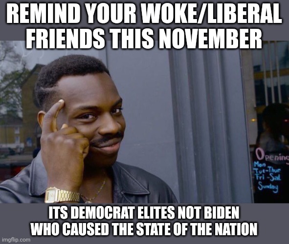 Its the puppet masters on the ballot not biden | REMIND YOUR WOKE/LIBERAL FRIENDS THIS NOVEMBER; ITS DEMOCRAT ELITES NOT BIDEN WHO CAUSED THE STATE OF THE NATION | image tagged in memes,roll safe think about it | made w/ Imgflip meme maker