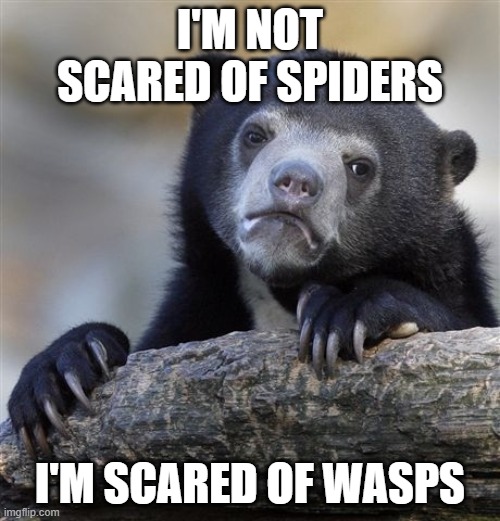 I have spheksophobia | I'M NOT SCARED OF SPIDERS; I'M SCARED OF WASPS | image tagged in memes,confession bear,wasp,spiders,phobia | made w/ Imgflip meme maker