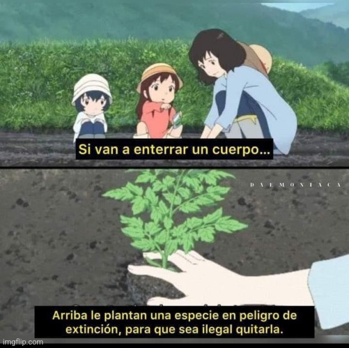 8xodm9.jpg