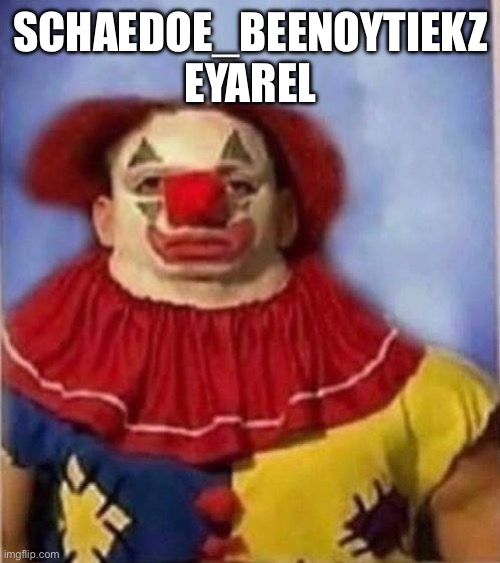 Clown staring | SCHAEDOE_BEENOYTIEKZ EYAREL | image tagged in clown staring | made w/ Imgflip meme maker