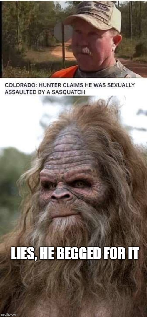 Squatch Love | LIES, HE BEGGED FOR IT | image tagged in sasquatch | made w/ Imgflip meme maker