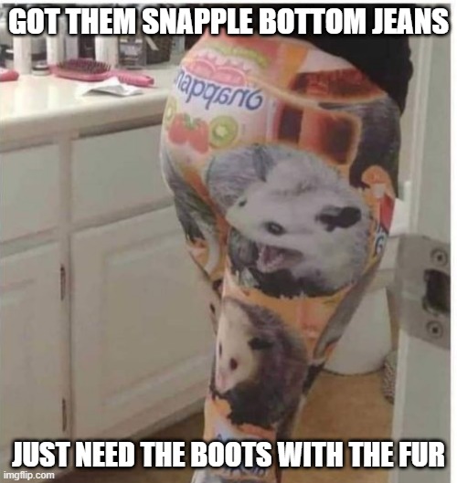 Flo Rida | GOT THEM SNAPPLE BOTTOM JEANS; JUST NEED THE BOOTS WITH THE FUR | image tagged in music | made w/ Imgflip meme maker