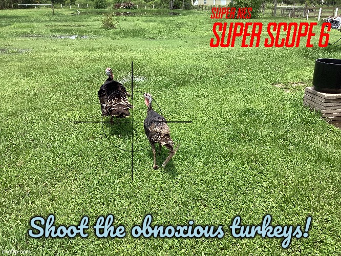 Super Scope 6 vs Obnoxious Turkeys | Shoot the obnoxious turkeys! | image tagged in nintendo,video game,video games,gun,target practice,texas | made w/ Imgflip meme maker