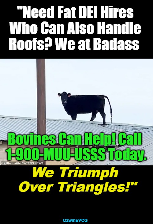 We Triumph Over Triangles | "Need Fat DEI Hires 

Who Can Also Handle 

Roofs? We at Badass; Bovines Can Help! Call 

1-900-MUU-USSS Today. We Triumph 

Over Triangles!"; OzwinEVCG | image tagged in diversity hires,advertisement,secret service,diversity liars,trump rally shooting,dei | made w/ Imgflip meme maker