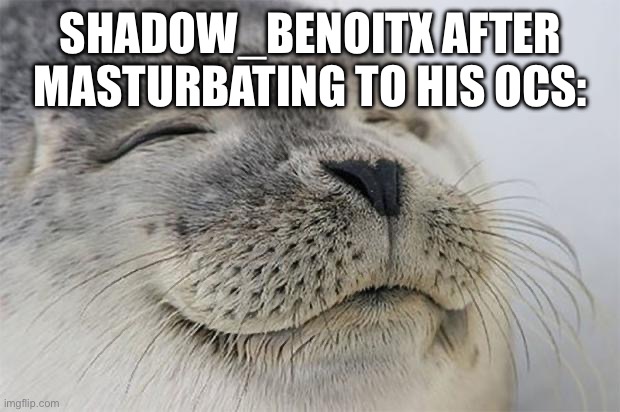 Satisfied Seal Meme | SHADOW_BENOITX AFTER MASTURBATING TO HIS OCS: | image tagged in memes,satisfied seal | made w/ Imgflip meme maker