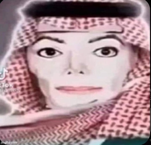 Ngl I have no idea why this is in my camera roll | made w/ Imgflip meme maker