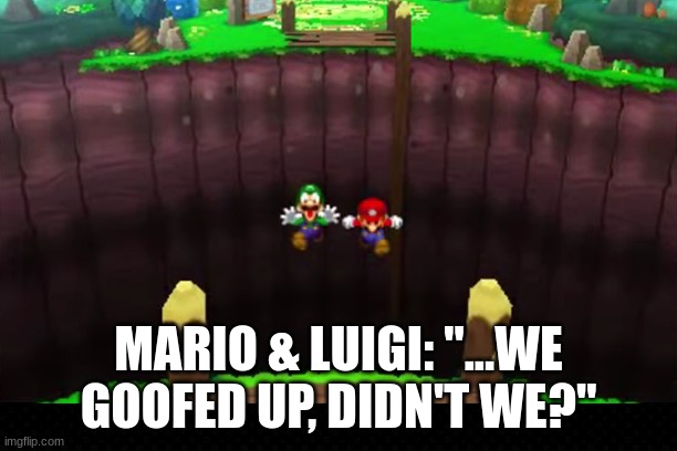 They Didn't Realize It Until It Was Too Late | MARIO & LUIGI: "...WE GOOFED UP, DIDN'T WE?" | image tagged in super mario bros,nintendo,funny,cartoon logic,memes,too late | made w/ Imgflip meme maker