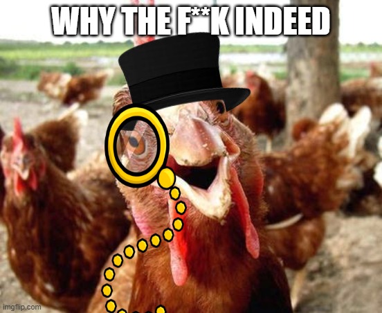 Chicken | WHY THE F**K INDEED | image tagged in chicken | made w/ Imgflip meme maker