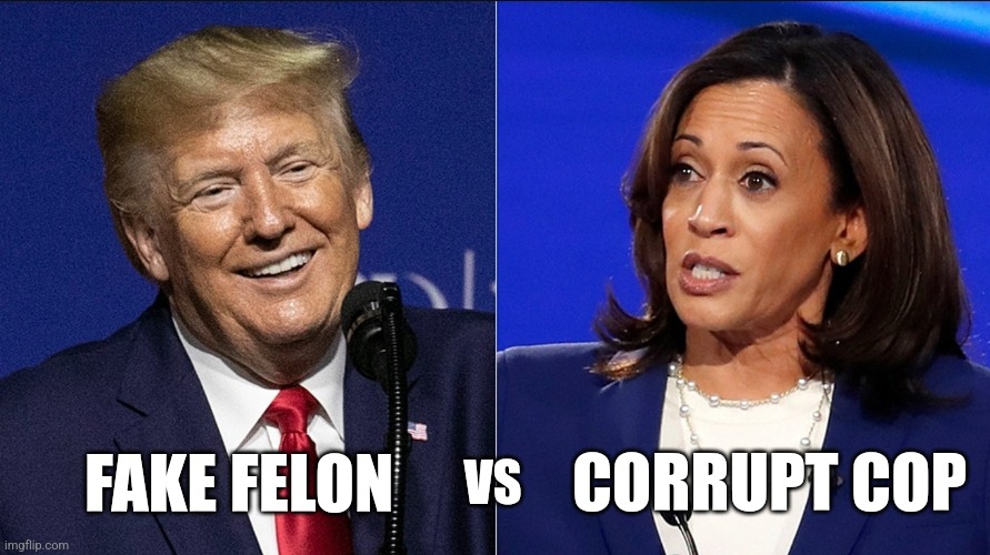 Choose your Champion | VS; CORRUPT COP; FAKE FELON | image tagged in memes,politics,democrats,republicans,donald trump,trending | made w/ Imgflip meme maker