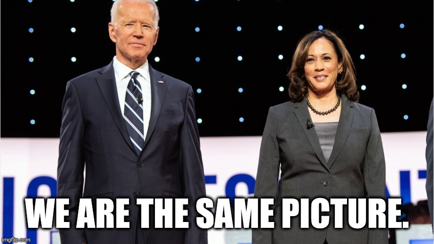 The More Things Change... | WE ARE THE SAME PICTURE. | image tagged in memes,politics,republicans,joe biden,kamala harris,trending | made w/ Imgflip meme maker