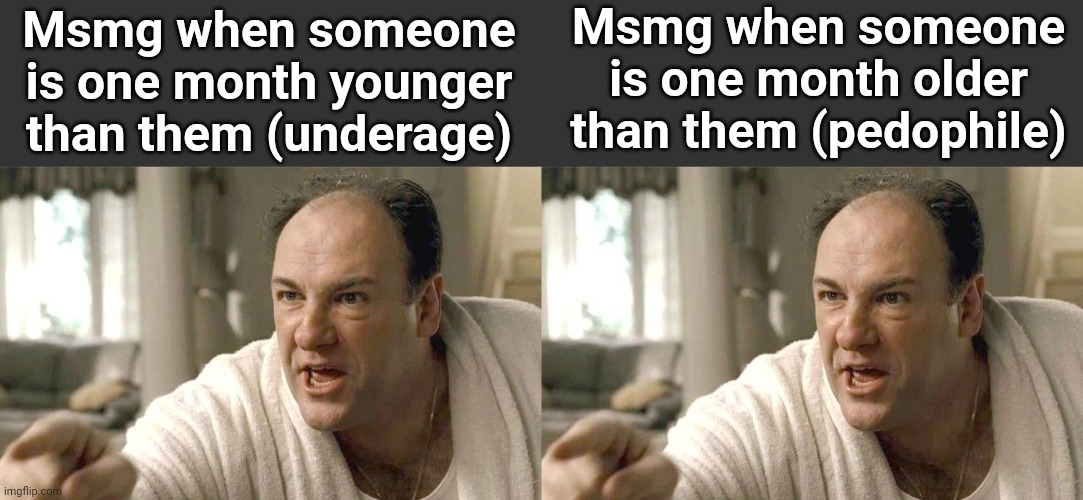 Younger = Underage, Older = Pedophile | Msmg when someone is one month older than them (pedophile); Msmg when someone is one month younger than them (underage) | made w/ Imgflip meme maker