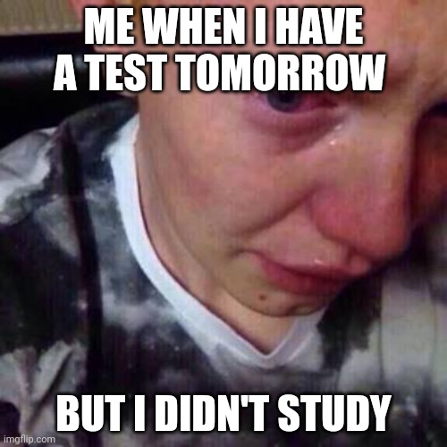 Feel like pure shit | ME WHEN I HAVE A TEST TOMORROW; BUT I DIDN'T STUDY | image tagged in feel like pure shit | made w/ Imgflip meme maker