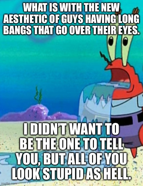 Mr krabs drool | WHAT IS WITH THE NEW AESTHETIC OF GUYS HAVING LONG BANGS THAT GO OVER THEIR EYES. I DIDN’T WANT TO BE THE ONE TO TELL YOU, BUT ALL OF YOU
LOOK STUPID AS HELL. | image tagged in mr krabs drool | made w/ Imgflip meme maker