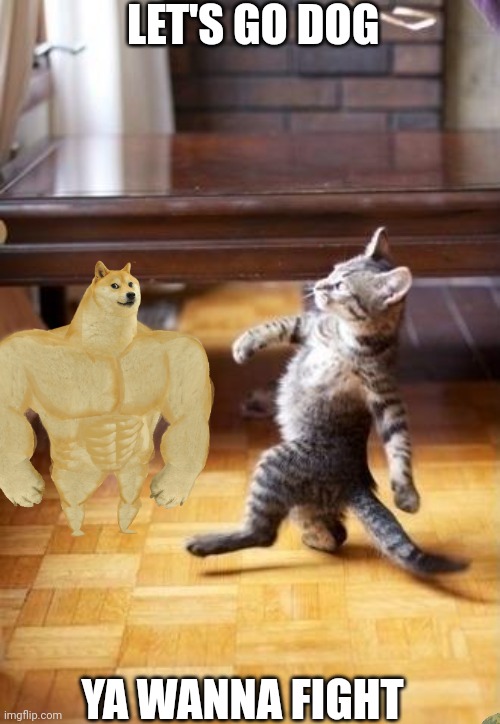 Cool Cat Stroll | LET'S GO DOG; YA WANNA FIGHT | image tagged in memes,cool cat stroll | made w/ Imgflip meme maker