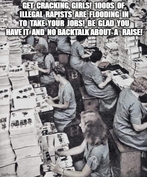 No Backtalk! | GET  CRACKING, GIRLS!  1000S  OF  ILLEGAL  RAPISTS  ARE  FLOODING  IN  TO  TAKE  YOUR  JOBS!  BE  GLAD  YOU  HAVE IT  AND  NO BACKTALK ABOUT  A   RAISE! | image tagged in work | made w/ Imgflip meme maker