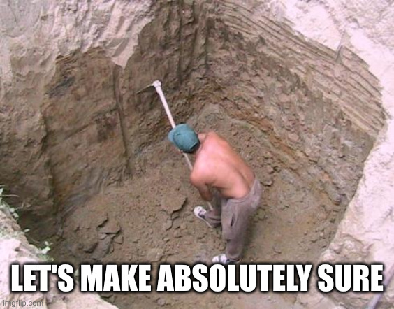 Dig a Hole | LET'S MAKE ABSOLUTELY SURE | image tagged in dig a hole | made w/ Imgflip meme maker