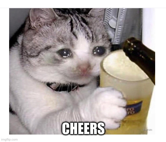 Crying Cat Drinking Beer | CHEERS | image tagged in crying cat drinking beer | made w/ Imgflip meme maker