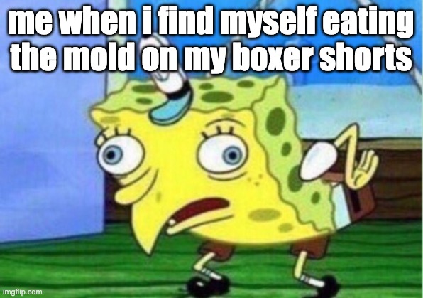 moldy boxer shorts | me when i find myself eating the mold on my boxer shorts | image tagged in memes,mocking spongebob | made w/ Imgflip meme maker