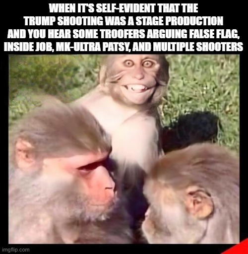 Conspiratards | WHEN IT'S SELF-EVIDENT THAT THE TRUMP SHOOTING WAS A STAGE PRODUCTION
AND YOU HEAR SOME TROOFERS ARGUING FALSE FLAG, INSIDE JOB, MK-ULTRA PATSY, AND MULTIPLE SHOOTERS | image tagged in trump shooting,trump assassination attempt,troofers | made w/ Imgflip meme maker