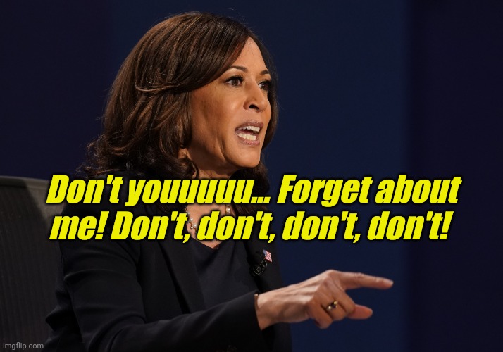 Kamala pointing | Don't youuuuu... Forget about me! Don't, don't, don't, don't! | image tagged in kamala pointing | made w/ Imgflip meme maker