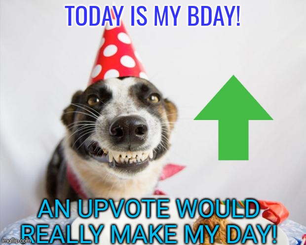 It's only acceptable to upvote beg only on your birthday | TODAY IS MY BDAY! AN UPVOTE WOULD REALLY MAKE MY DAY! | image tagged in birthday dog,memes,happy birthday,front page | made w/ Imgflip meme maker
