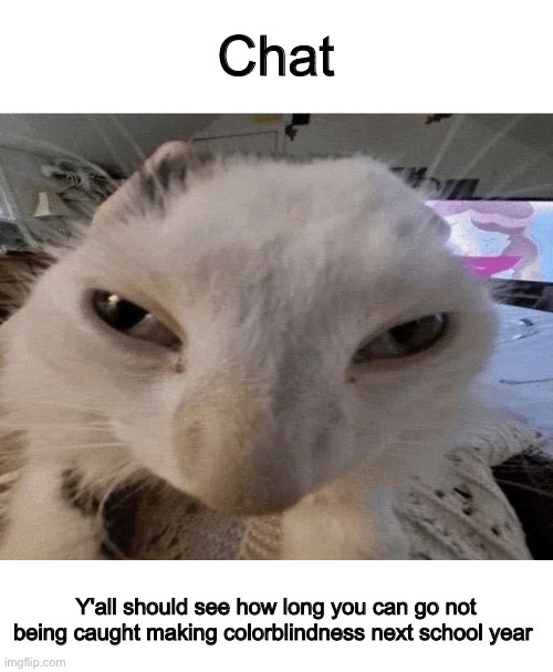 Pluh cat | Chat; Y'all should see how long you can go not being caught making colorblindness next school year | image tagged in g | made w/ Imgflip meme maker