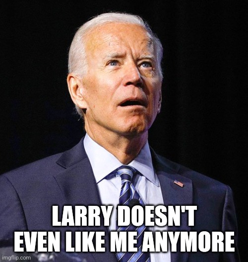Joe Biden | LARRY DOESN'T EVEN LIKE ME ANYMORE | image tagged in joe biden | made w/ Imgflip meme maker
