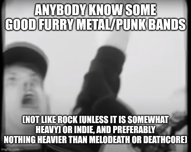 Roomie scream | ANYBODY KNOW SOME GOOD FURRY METAL/PUNK BANDS; (NOT LIKE ROCK [UNLESS IT IS SOMEWHAT HEAVY] OR INDIE, AND PREFERABLY NOTHING HEAVIER THAN MELODEATH OR DEATHCORE) | image tagged in roomie scream | made w/ Imgflip meme maker