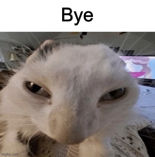 Pluh cat | Bye | image tagged in g | made w/ Imgflip meme maker