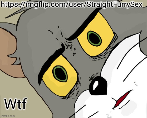 (Mod note: Banned em) | https://imgflip.com/user/StraightFurrySex; Wtf | image tagged in memes,unsettled tom | made w/ Imgflip meme maker