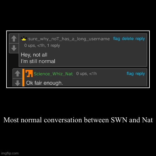 Context: she said that all her haters are groomers | Most normal conversation between SWN and Nat | | image tagged in funny,demotivationals | made w/ Imgflip demotivational maker