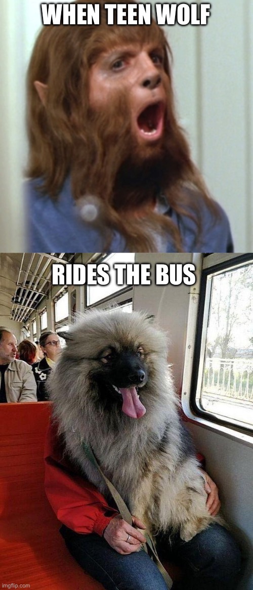 Bus ride | WHEN TEEN WOLF; RIDES THE BUS | image tagged in teen wolf,bus | made w/ Imgflip meme maker