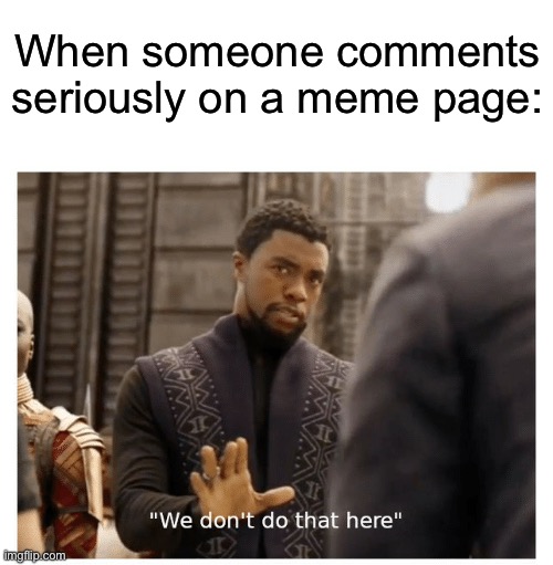 we don't do that here | When someone comments seriously on a meme page: | image tagged in we don't do that here | made w/ Imgflip meme maker