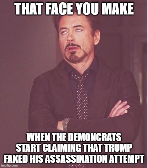 Stupid Demoncrats | THAT FACE YOU MAKE; WHEN THE DEMONCRATS START CLAIMING THAT TRUMP FAKED HIS ASSASSINATION ATTEMPT | image tagged in memes,face you make robert downey jr,trump,democrats,stupid | made w/ Imgflip meme maker