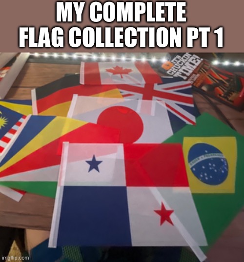 MY COMPLETE FLAG COLLECTION PT 1 | image tagged in flags,collection | made w/ Imgflip meme maker