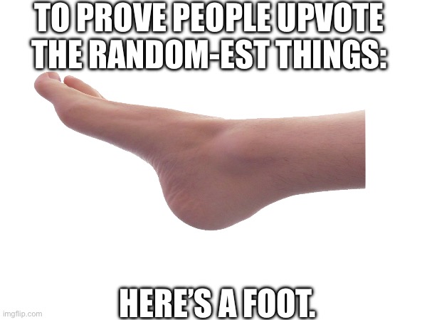 this is to prove the age old belief. | TO PROVE PEOPLE UPVOTE THE RANDOM-EST THINGS:; HERE’S A FOOT. | image tagged in epic,unbelievable,skull | made w/ Imgflip meme maker