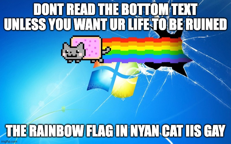 nyan cat shadders | DONT READ THE BOTTOM TEXT UNLESS YOU WANT UR LIFE TO BE RUINED; THE RAINBOW FLAG IN NYAN CAT IIS GAY | image tagged in nyan cat shadders | made w/ Imgflip meme maker