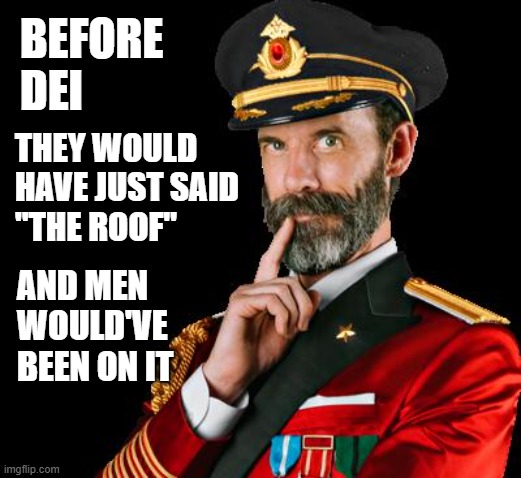 captain obvious | BEFORE DEI; THEY WOULD HAVE JUST SAID
"THE ROOF"; AND MEN WOULD'VE BEEN ON IT | image tagged in captain obvious | made w/ Imgflip meme maker