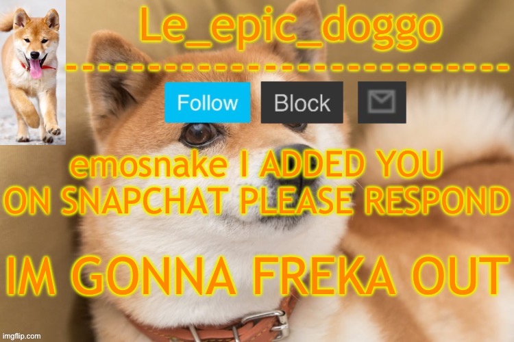 AND GET FREAKY | emosnake I ADDED YOU ON SNAPCHAT PLEASE RESPOND; IM GONNA FREKA OUT | image tagged in epic doggo's temp back in old fashion | made w/ Imgflip meme maker