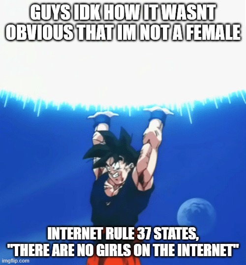 idiots | GUYS IDK HOW IT WASNT OBVIOUS THAT IM NOT A FEMALE; INTERNET RULE 37 STATES, "THERE ARE NO GIRLS ON THE INTERNET" | image tagged in goku ratio | made w/ Imgflip meme maker