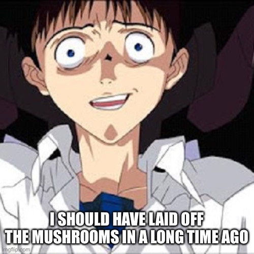 Episode 25/26: A Mushroom Trip | I SHOULD HAVE LAID OFF THE MUSHROOMS IN A LONG TIME AGO | image tagged in shinji scared | made w/ Imgflip meme maker