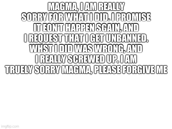 i am really sorry... (Give him another chance) | MAGMA, I AM REALLY SORRY FOR WHAT I DID. I PROMISE IT EON'T HAPPEN SGAIN, AND I REQUEST THAT I GET UNBANNED. WHST I DID WAS WRONG, AND I REALLY SCREWED UP. I AM TRUELY SORRY MAGMA, PLEASE FORGIVE ME | made w/ Imgflip meme maker