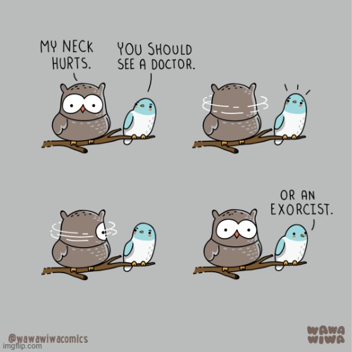 image tagged in birds,owl,neck,turn,doctor,exorcist | made w/ Imgflip meme maker