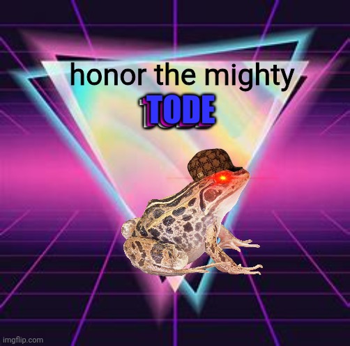 Tode is love, tode is life. See the tode, accept the tode, embrace the tode, become a tode. | honor the mighty; TODE; TODE; TODE | image tagged in toad | made w/ Imgflip meme maker