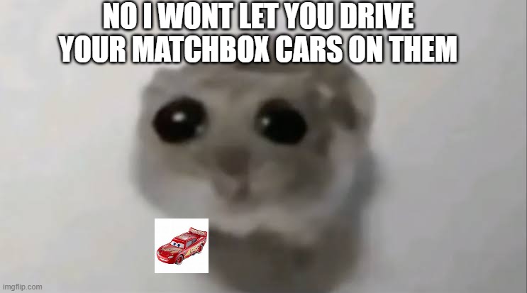 Sad | NO I WONT LET YOU DRIVE YOUR MATCHBOX CARS ON THEM | image tagged in sad hamster | made w/ Imgflip meme maker