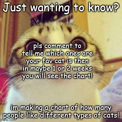 What are your fav cats comment to tell me.....and this is not begging!!!! | Just wanting to know? pls comment to tell me which ones are your fav cat is then in maybe 1 or 2 weeks you will see the chart! im making a chart of how many people like different types of cats! | image tagged in memes,smiling cat | made w/ Imgflip meme maker